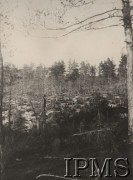 1915, Wołyń.
Pozycje 2 Pułku Piechoty Legionów nad rzeką Garbach na Wołyniu.
Fot. por. Stanisław Siczek – dowódca kompanii CKM, Instytut Polski im. Gen. Sikorskiego w Londynie [ALBUM LEGIONÓW nr 20003 – 2 pułku piechoty Legionów Polskich]