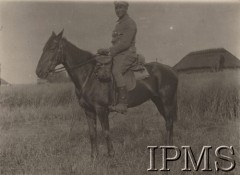 1916, Wołyń.
Pozycje nad rzeką Garbach. Porucznik Stanisław Siczek z 1 kompanii 2 Pułku Piechoty Legionów na koniu „Mańka”.
Fot. NN, Instytut Polski im. Gen. Sikorskiego w Londynie [ALBUM LEGIONÓW nr 20003 – 2 pułku piechoty Legionów Polskich]