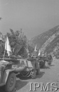 Maj 1944, Cassino, Włochy.
Bitwa pod Monte Cassino, samochody do przewozu rannych, stojące na górskiej drodze.
Fot. T. Szumański, Instytut Polski im. Gen. Sikorskiego w Londynie [album negatywowy nr 105]

