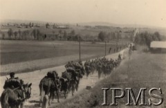 Czerwiec 1941, Gorlice, Generalne Gubernatorstwo.
Przemarsz 1 Dywizji Strzelców Górskich - muły transportujące wyposażenie żołnierzy. W oddali - położone na wzgórzach domy mieszkalne, pola uprawne, przydrożne drzewa. 
Fot. NN, Instytut Polski i Muzeum im. gen. Sikorskiego w Londynie