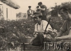 Po 22.06.1941, brak miejsca.
I Dywizja Strzelców Górskich - żołnierze pieką drób, w oddali widoczne są wiejskie chaty.
Fot. NN, Instytut Polski i Muzeum im. gen. Sikorskiego w Londynie 
