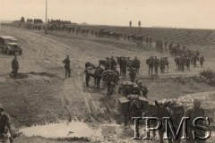 Po 22.06.1941, brak miejsca.
Przemarsz jednostki I Dywizji Strzelców Górskich - żołnierze prowadzą muły juczne transportujące wojskowy ekwipunek. Na drugim planie widoczny jest ciągnik gąsienicowy SDKfz.7 (8 tonowy). Motocyklista na motorze (w lewym dolnym rogu zdjęcia).  
Fot. NN, Instytut Polski i Muzeum im. gen. Sikorskiego w Londynie