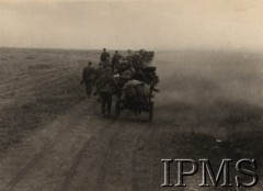 Po 22.06.1941, brak miejsca.
Kolumna żołnierzy jednostki I Dywizji Strzelców Górskich przemierza step. Orginalny podpis w języku niemieckim: 