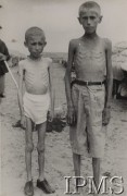 Sierpień 1942, Pahlewi, Iran.
Ewakuacja polskiej ludności cywilnej z ZSRR, dwaj wychudzeni chłopcy, z prawej stoi Jan Wąsik (lat 16) - oryginalny podpis: 