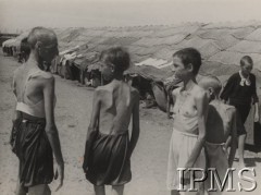 Sierpień 1942, Pahlewi, Iran.
Ewakuacja polskiej ludności cywilnej z ZSRR - z lewej stoi Władysława Józefczyk ze Stryja (lat 16), zesłana do swierdłowskiej obłasti, pracowała w kołchozie. Janina Olbrecht (lat 17) z Podhajec, zesłana do mołotowskiej obłasti, pracowała w lesie i przy spławie drewna. Olga Osowin i Maria Kis.
Fot. NN, Instytut Polski im. Gen. Sikorskiego w Londynie [Album - Rosja]