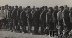 1942, Szachriziabs, Uzbekistan, ZSRR.
Formowanie 6 Dywizji Piechoty. Polscy żołnierze zwolnieni z łagrów, którzy zgłosili się do Armii Polskiej - kolejka po obiad.
Fot. NN, Instytut Polski im. Gen. Sikorskiego w Londynie [Album - Rosja]