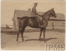 Lipiec 1920, brak miejsca.
2 Pułk Ułanów Grochowskich. Ułan Jan Bielicki na koniu.
Fot. NN, Instytut Polski im. Gen. Sikorskiego w Londynie [kolekcja 240/110]