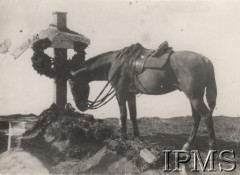 Jesień 1920, Korosteń, obw. Żytomierz, Ukraina.
2 Pułk Ułanów Grochowskich. Koń nad grobem plut. Jerzego Bąkowskiego z 2 Pułku Ułanów, który poległ jesienią w zagonie na Korosteń.
Fot. NN, Instytut Polski im. Gen. Sikorskiego w Londynie [kolekcja 240/110]