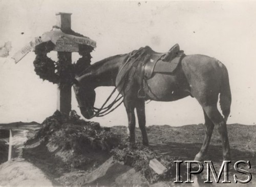 Jesień 1920, Korosteń, obw. Żytomierz, Ukraina.
2 Pułk Ułanów Grochowskich. Koń nad grobem plut. Jerzego Bąkowskiego z 2 Pułku Ułanów, który poległ jesienią w zagonie na Korosteń.
Fot. NN, Instytut Polski im. Gen. Sikorskiego w Londynie [kolekcja 240/110]