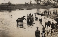 1920-1939, Polska.
Oddział kawalerii Wojska Polskiego przeprawiający się przez rzekę wraz z końmi.
Fot. NN, Instytut Polski im. Gen. Sikorskiego w Londynie [kolekcja nr 501 - Henryk Barański]