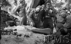 11-18.05.1944, Cassino, Włochy.
Walki 2 Korpusu Polskiego pod Monte Cassino, oficerowie nad mapą plastyczną terenu.
Fot. Felicjan Maliniak, Instytut Polski i Muzeum im. gen. Sikorskiego w Londynie, album negatywowy L-I Monte Cassino, płachta 38