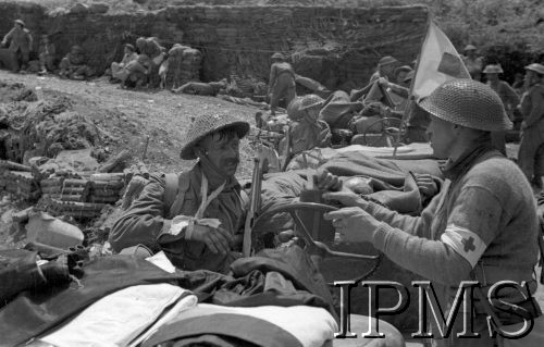 11-18.05.1944, Cassino, Włochy.
Walki 2 Korpusu Polskiego pod Monte Cassino, samochody z rannymi.
Fot. Felicjan Maliniak, Instytut Polski i Muzeum im. gen. Sikorskiego w Londynie, album negatywowy L-I Monte Cassino, płachta 38