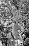 Maj 1944, Cassino, Włochy.
Oryginalny podpis: 