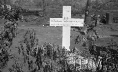 Maj 1944, Aquafondata, Włochy.
Mogiła kpt. Wacława Kwiatkowskiego, który poległ 17 maja 1944 pod Monte Cassino.
Fot. Felicjan Maliniak, Instytut Polski im. Gen. Sikorskiego w Londynie [album negatywowy L-I Monte Cassino] - płachta 48