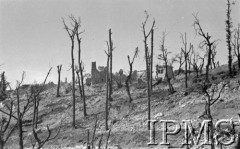 Maj 1944, Cassino, Włochy.
Ruiny domów. Wokół pocięte pociskami drzewa, w głębi góry.
Fot. por. Ostrowski, Instytut Polski im. Gen. Sikorskiego w Londynie [album negatywowy L-II Monte Cassino] - płachta 1
