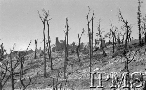 Maj 1944, Cassino, Włochy.
Ruiny domów. Wokół pocięte pociskami drzewa, w głębi góry.
Fot. por. Ostrowski, Instytut Polski im. Gen. Sikorskiego w Londynie [album negatywowy L-II Monte Cassino] - płachta 1