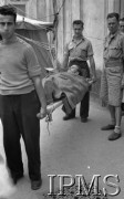 Maj 1944, Cassino, Włochy.
Szpital polowy, sanitariusze niosący rannego na salę operacyjną.
Fot. por. Ostrowski, Instytut Polski im. Gen. Sikorskiego w Londynie [album negatywowy L-II Monte Cassino] - płachta 2
