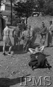 Maj 1944, Cassino, Włochy.
Szpital polowy, ranny leżący na noszach.
Fot. por. Ostrowski, Instytut Polski im. Gen. Sikorskiego w Londynie [album negatywowy L-II Monte Cassino] - płachta 3