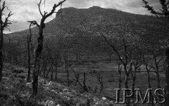 Maj 1944, Cassino, Włochy.
Bitwa pod Monte Cassino, okolice klasztoru Benedyktynów.
Fot. NN, Instytut Polski im. Gen. Sikorskiego w Londynie [Album negatywowy - Monte Cassino]

