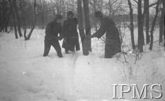 Listopad 1941, ZSRR.
Tworzenie Armii Polskiej na Wschodzie - żołnierze ścinający drzewo na opał.
Fot. NN, Instytut Polski im. Gen. Sikorskiego w Londynie [czerwony segregator]