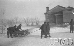 Listopad 1941, ZSRR.
Tworzenie Armii Polskiej na Wschodzie - żołnierze ciągnący na sankach drewno na opał.
Fot. NN, Instytut Polski im. Gen. Sikorskiego w Londynie [czerwony segregator]