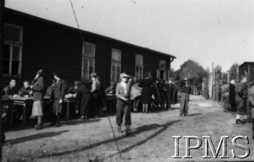 Październik 1944, Fallingbostel, Niemcy.
Żołnierze Armii Krajowej wzięci do niewoli po upadku Powstania Warszawskiego.
Opis do zbioru: Rejestracja odbyła się w Fallingbostel - stalag XI B. Tam zrobiono nam fotografie i dano numery. Te numery towarzyszyły nam już do końca poprzez obozy Bergen Belsen i Oberlangen. 
Fot. NN, Instytut Polski im. Gen. Sikorskiego w Londynie [Album negatywowy - Stalag XI B Fallingbostel]