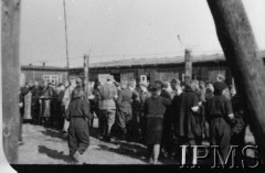 Październik 1944, Fallingbostel, Niemcy.
Żołnierze Armii Krajowej wzięci do niewoli po upadku Powstania Warszawskiego.
Opis do zbioru: Rejestracja odbyła się w Fallingbostel - stalag XI B. Tam zrobiono nam fotografie i dano numery. Te numery towarzyszyły nam już do końca poprzez obozy Bergen Belsen i Oberlangen. 
Fot. NN, Instytut Polski im. Gen. Sikorskiego w Londynie [Album negatywowy - Stalag XI B Fallingbostel]