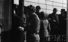 Październik 1944, Fallingbostel, Niemcy.
Żołnierze Armii Krajowej wzięci do niewoli po upadku Powstania Warszawskiego.
Opis do zbioru: Rejestracja odbyła się w Fallingbostel - stalag XI B. Tam zrobiono nam fotografie i dano numery. Te numery towarzyszyły nam już do końca poprzez obozy Bergen Belsen i Oberlangen. 
Fot. NN, Instytut Polski im. Gen. Sikorskiego w Londynie [Album negatywowy - Stalag XI B Fallingbostel]