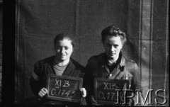 Październik 1944, Fallingbostel, Niemcy.
Kobiety wzięte do niewoli po upadku Powstania Warszawskiego, portrety więzienne.
Opis do zbioru: Rejestracja odbyła się w Fallingbostel - stalag XI B. Tam zrobiono nam fotografie i dano numery. Te numery towarzyszyły nam już do końca poprzez obozy Bergen Belsen i Oberlangen. 
Fot. NN, Instytut Polski im. Gen. Sikorskiego w Londynie [Album negatywowy - Stalag XI B Fallingbostel]