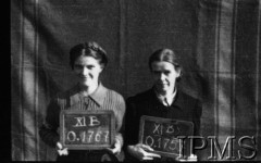 Październik 1944, Fallingbostel, Niemcy.
Kobiety wzięte do niewoli po upadku Powstania Warszawskiego, portrety więzienne.
Opis do zbioru: Rejestracja odbyła się w Fallingbostel - stalag XI B. Tam zrobiono nam fotografie i dano numery. Te numery towarzyszyły nam już do końca poprzez obozy Bergen Belsen i Oberlangen. 
Fot. NN, Instytut Polski im. Gen. Sikorskiego w Londynie [Album negatywowy - Stalag XI B Fallingbostel]