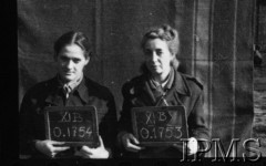 Październik 1944, Fallingbostel, Niemcy.
Kobiety wzięte do niewoli po upadku Powstania Warszawskiego, portrety więzienne.
Opis do zbioru: Rejestracja odbyła się w Fallingbostel - stalag XI B. Tam zrobiono nam fotografie i dano numery. Te numery towarzyszyły nam już do końca poprzez obozy Bergen Belsen i Oberlangen. 
Fot. NN, Instytut Polski im. Gen. Sikorskiego w Londynie [Album negatywowy - Stalag XI B Fallingbostel]