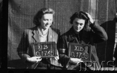 Październik 1944, Fallingbostel, Niemcy.
Kobiety wzięte do niewoli po upadku Powstania Warszawskiego, portrety więzienne.
Opis do zbioru: Rejestracja odbyła się w Fallingbostel - stalag XI B. Tam zrobiono nam fotografie i dano numery. Te numery towarzyszyły nam już do końca poprzez obozy Bergen Belsen i Oberlangen. 
Fot. NN, Instytut Polski im. Gen. Sikorskiego w Londynie [Album negatywowy - Stalag XI B Fallingbostel]