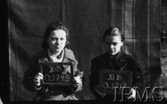 Październik 1944, Fallingbostel, Niemcy.
Kobiety wzięte do niewoli po upadku Powstania Warszawskiego, portrety więzienne.
Opis do zbioru: Rejestracja odbyła się w Fallingbostel - stalag XI B. Tam zrobiono nam fotografie i dano numery. Te numery towarzyszyły nam już do końca poprzez obozy Bergen Belsen i Oberlangen. 
Fot. NN, Instytut Polski im. Gen. Sikorskiego w Londynie [Album negatywowy - Stalag XI B Fallingbostel]