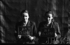 Październik 1944, Fallingbostel, Niemcy.
Kobiety wzięte do niewoli po upadku Powstania Warszawskiego, portrety więzienne.
Opis do zbioru: Rejestracja odbyła się w Fallingbostel - stalag XI B. Tam zrobiono nam fotografie i dano numery. Te numery towarzyszyły nam już do końca poprzez obozy Bergen Belsen i Oberlangen. 
Fot. NN, Instytut Polski im. Gen. Sikorskiego w Londynie [Album negatywowy - Stalag XI B Fallingbostel]