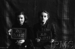 Październik 1944, Fallingbostel, Niemcy.
Kobiety wzięte do niewoli po upadku Powstania Warszawskiego, portrety więzienne.
Opis do zbioru: Rejestracja odbyła się w Fallingbostel - stalag XI B. Tam zrobiono nam fotografie i dano numery. Te numery towarzyszyły nam już do końca poprzez obozy Bergen Belsen i Oberlangen. 
Fot. NN, Instytut Polski im. Gen. Sikorskiego w Londynie [Album negatywowy - Stalag XI B Fallingbostel]