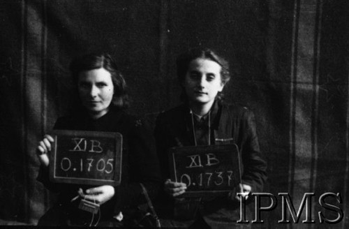 Październik 1944, Fallingbostel, Niemcy.
Kobiety wzięte do niewoli po upadku Powstania Warszawskiego, portrety więzienne.
Opis do zbioru: Rejestracja odbyła się w Fallingbostel - stalag XI B. Tam zrobiono nam fotografie i dano numery. Te numery towarzyszyły nam już do końca poprzez obozy Bergen Belsen i Oberlangen. 
Fot. NN, Instytut Polski im. Gen. Sikorskiego w Londynie [Album negatywowy - Stalag XI B Fallingbostel]