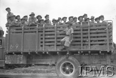 Marzec-kwiecień 1942, Pahlewi, Iran.
Ewakuacja Armii Andersa, żołnierze jadący ciężarówką.
Fot. Bronisław Haberski, Instytut Polski im. Gen. Sikorskiego w Londynie [album negatywowy B-I IRAN] - płachta 1