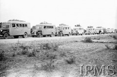 Marzec-kwiecień 1942, Pahlewi, Iran (Persja).
Ewakuacja Armii Andersa. Autobusy z junaczkami.
Fot. Bronisław Haberski, Instytut Polski im. Gen. Sikorskiego w Londynie [album negatywowy B-I IRAN] - płachta 1