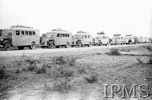 Marzec-kwiecień 1942, Pahlewi, Iran (Persja).
Ewakuacja Armii Andersa. Autobusy z junaczkami.
Fot. Bronisław Haberski, Instytut Polski im. Gen. Sikorskiego w Londynie [album negatywowy B-I IRAN] - płachta 1