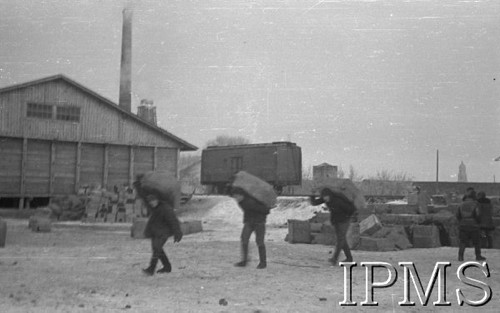 Listopad 1941, Kołtubanka, obł. Czkałowsk, ZSRR.
Obóz formującej się Armii Andersa, żołnierze noszą paki z mundurami nadesłanymi przez Anglików.
Fot. Czesław Zembal, Instytut Polski im. Gen. Sikorskiego w Londynie [album negatywowy A-I ROSJA] - płachta 3