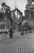 Grudzień 1941, Kołtubanka, obł. Czkałowsk, ZSRR.
Brama do obozu 2 Eskadry Lotniczej.
Fot. Czesław Zembal, Instytut Polski im. Gen. Sikorskiego w Londynie [album negatywowy A-I ROSJA] - płachta 9