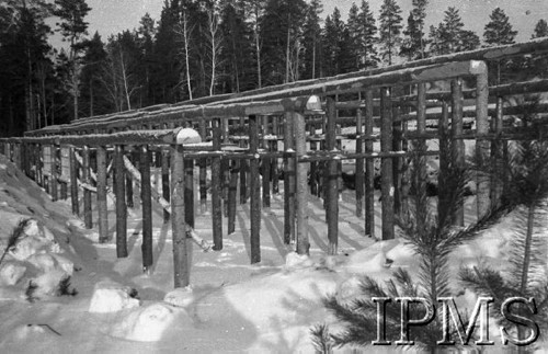 Grudzień 1941, Kołtubanka, obł. Czkałowsk, ZSRR.
Rusztowanie z drewnianych palików wykorzystywane latem przez miejscową ludność do uprawy chmielu.
Fot. Czesław Zembal, Instytut Polski im. Gen. Sikorskiego w Londynie [album negatywowy A-I ROSJA] - płachta 10
