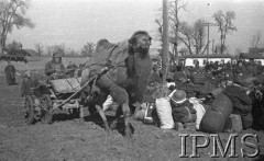 Styczeń 1942, stacja Kaufmanskaja, Uzbekistan, ZSRR.
Bagaże polskich żołnierzy na stacji kolejowej, z lewej Kirgiz jadący wozem zaprzężonym w wielbłąda. 
Fot. inż. Wiktor Ostrowski, Instytut Polski im. Gen. Sikorskiego w Londynie [album negatywowy A-I ROSJA] - płachta 17