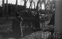 Styczeń 1942, stacja Kaufmanskaja, Uzbekistan, ZSRR.
Wózek z bagażem zaprzężony w osła.
Fot. inż. Wiktor Ostrowski, Instytut Polski im. Gen. Sikorskiego w Londynie [album negatywowy A-I ROSJA] - płachta 17