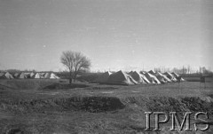 Luty 1942, Jangi-Jul, Uzbekistan, ZSRR.
Obóz Szwadronu Przybocznego dowódcy Armii Polskiej gen. Władysława Andersa, namioty.
Fot. inż. Wiktor Ostrowski, Instytut Polski im. Gen. Sikorskiego w Londynie [album negatywowy A-I ROSJA] - płachta 18