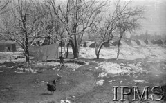 Luty 1942, Dżałał-Abad, Kirgistan, ZSRR.
Oszronione drzewa, w głębi namioty polskiego obozu.
Fot. inż. Wiktor Ostrowski, Instytut Polski im. Gen. Sikorskiego w Londynie [album negatywowy A-I ROSJA] - płachta 20