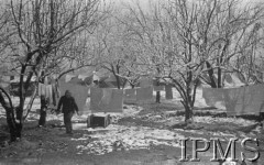 Luty 1942, Dżałał-Abad, Kirgistan, ZSRR.
Oszronione drzewa, między którymi rozwieszono pranie, w głębi namioty polskiego obozu.
Fot. inż. Wiktor Ostrowski, Instytut Polski im. Gen. Sikorskiego w Londynie [album negatywowy A-I ROSJA] - płachta 20