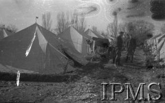Luty 1942, Jangi-Jul, Uzbekistan, ZSRR.
Między namiotami.
Fot. inż. Ostrowski, Instytut Polski im. Gen. Sikorskiego w Londynie [album negatywowy A-I ROSJA] - płachta 20