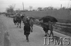 Kwiecień 1942, Jangi-Jul, Uzbekistan, ZSRR.
Uzbek prowadzący ulicą objuczone zwierzęta.
Fot. Stanisław Lipiński, Instytut Polski im. Gen. Sikorskiego w Londynie [album negatywowy A-I ROSJA] - płachta 25a