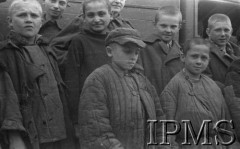 Maj 1942, Wrewskoje, Uzbekistan, ZSRR.
Dzieci, które dotarły do formującej się Armii Andersa, grupa chłopców w łachmanach.
Fot. inż. Ostrowski, Instytut Polski im. Gen. Sikorskiego w Londynie [album negatywowy A-I ROSJA] - płachta 27
